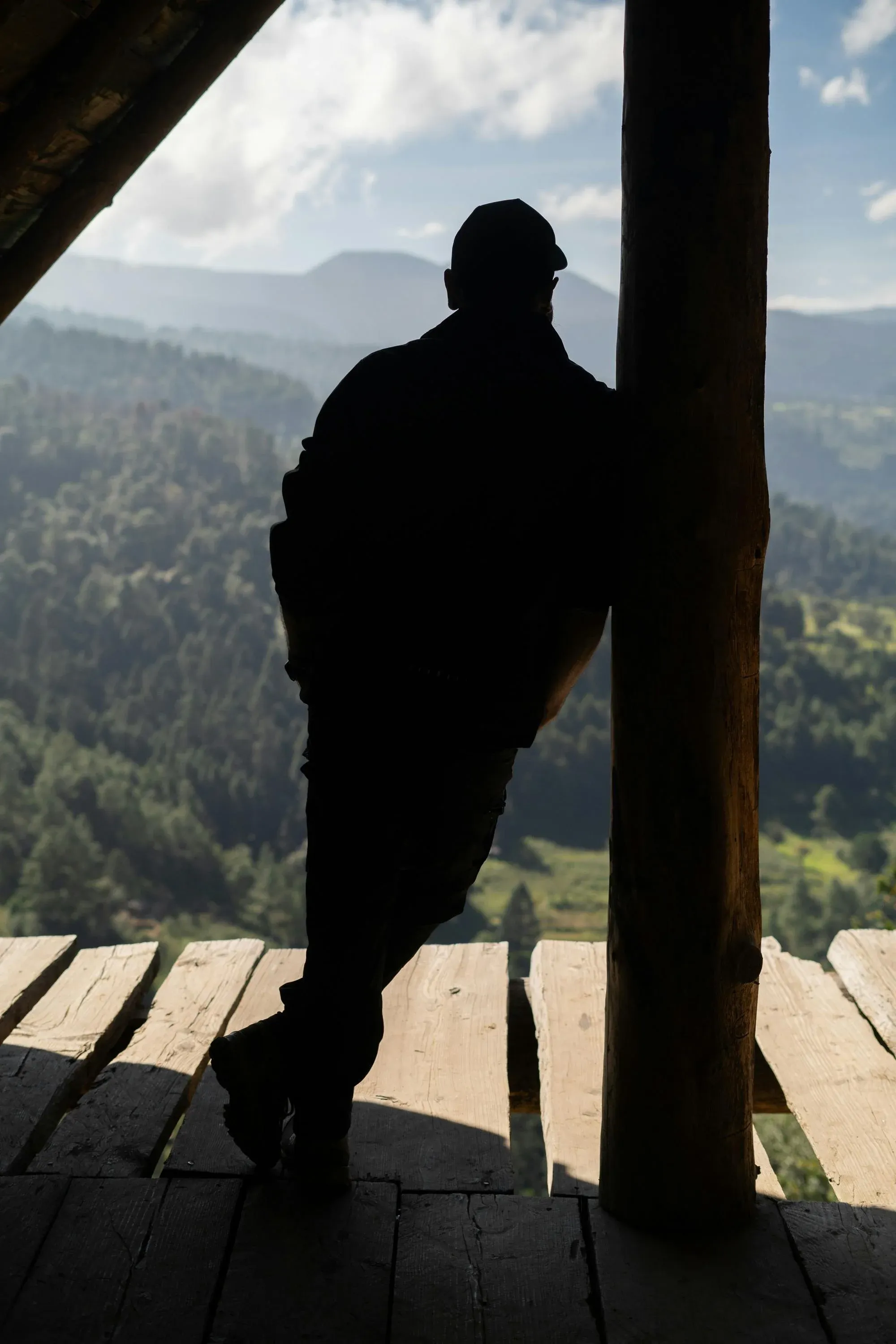 A silhouetted figure standing before a dense forest